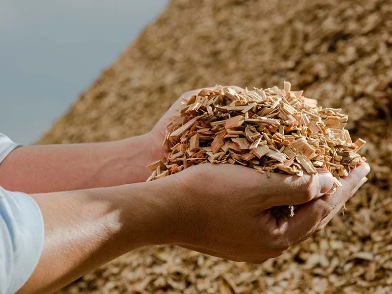 Wood chips
